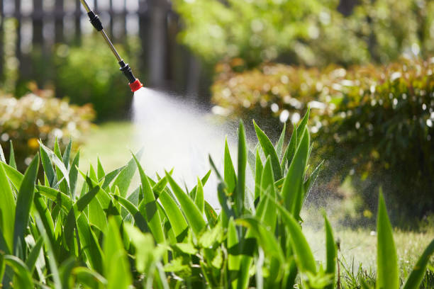 Tamper-Resistant Bait Stations for Rodents in Mill Neck